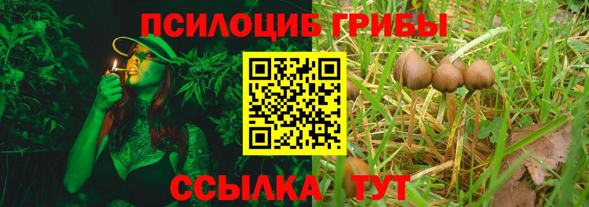 Галлюциногенные грибы Cubensis  Псилоцибиновые грибы MAGIC MUSHROOMS  Вход с VPN  Краснознаменск 